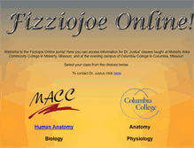 Tablet Screenshot of fizziojoe.com
